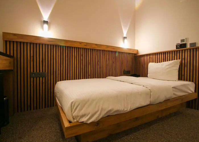 Kaya Saw Hotel Estambul